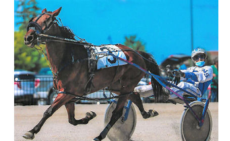 Kincardine race-horse owner enjoying best season yet
