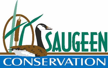 Good things happening along the shoreline, says Healthy Lake Huron