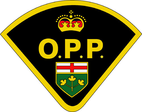 South Bruce OPP report drug charges