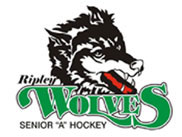 Ripley Wolves hosting fourth annual Indoor Beach Volleyball Tournament Sept. 10-12