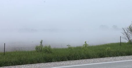Drop in temperature results in foggy Friday afternoon