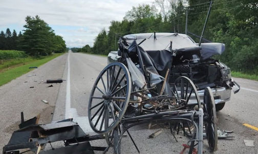 Driver of horse and buggy seriously hurt in two-vehicle collision south of Lucknow