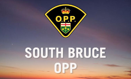 ​Two impaired drivers nabbed at RIDE checkpoints