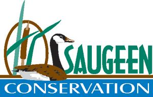SVCA advises public to stay away from local rivers and streams