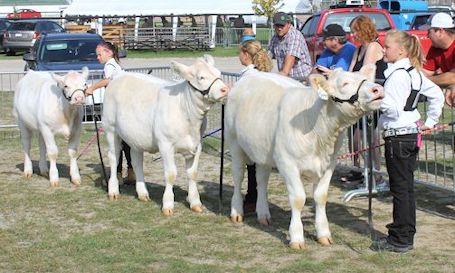 Rejuvenated Kincardine Fall Fair developing into a popular agricultural exhibition