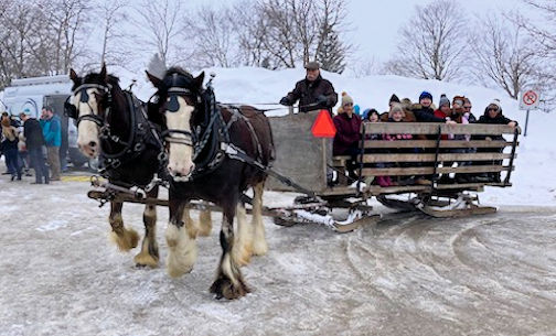 ​Purple Grove news