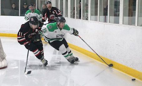 Wolves and 'Cats series tied at two games apiece