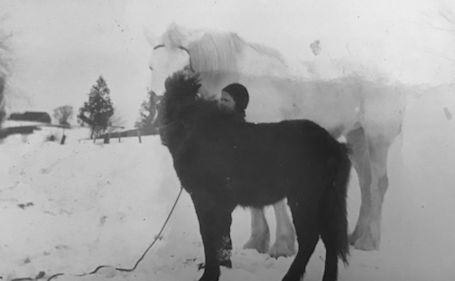 More adventures during a Bruce County winter