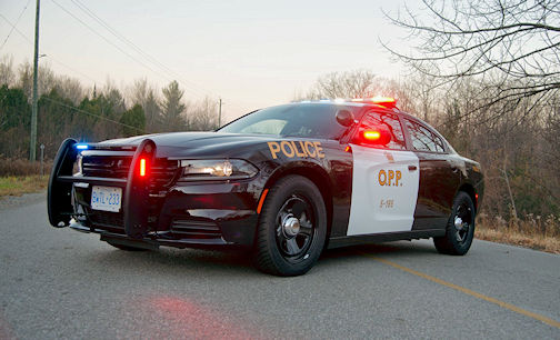 Man arrested following altercation in Huron-Kinloss