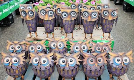 Sobeys Kincardine garden centre now open