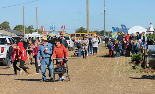 Bruce County IPM is huge success, drawing more than 70,000 visitors