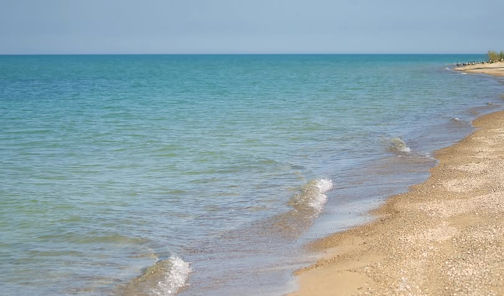 Public health issues swimming advisory for Point Clark Beach